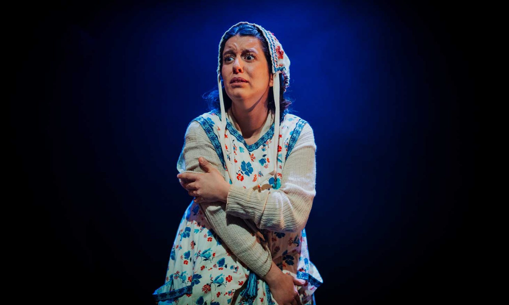 Cinc Cèntims Teatre - Espectacles sobre les tradicions, cultura popular i la mitologia catalana a un públic familiar.